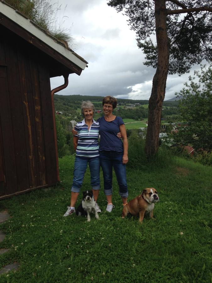 Ivaregga Vinterstua Tolga Exterior foto