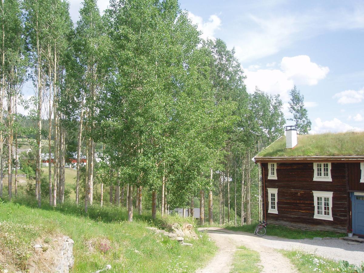 Ivaregga Vinterstua Tolga Exterior foto